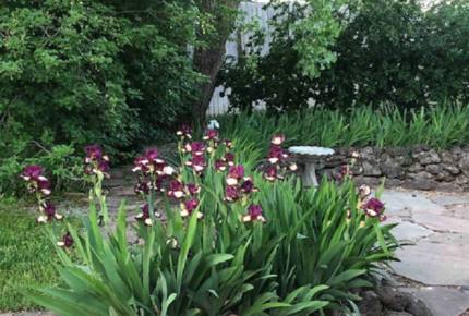 Taos Adobe Hideaway - LLano que Mado, New Mexico
