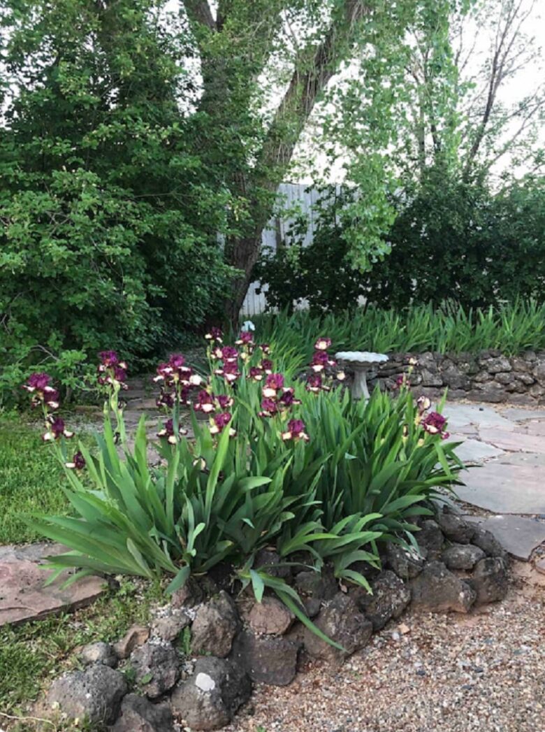 Taos Adobe Hideaway - LLano que Mado, New Mexico