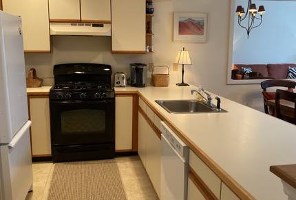 Winterplace at Okemo Mountain - Ski In/Ski Out - Ludlow, Vermont