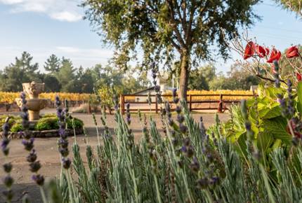 Unwined Napa - Napa, California