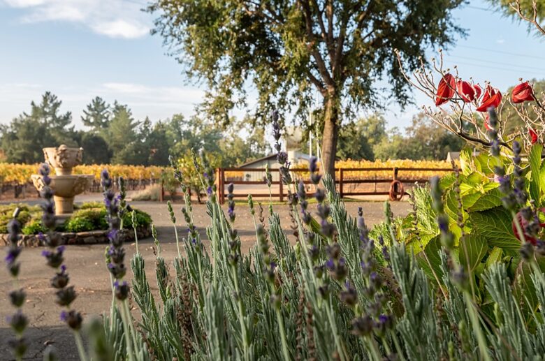 Unwined Napa - Napa, California