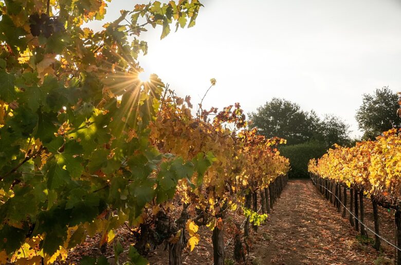 Unwined Napa - Napa, California