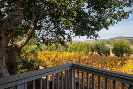 Unwined Napa - Napa, California