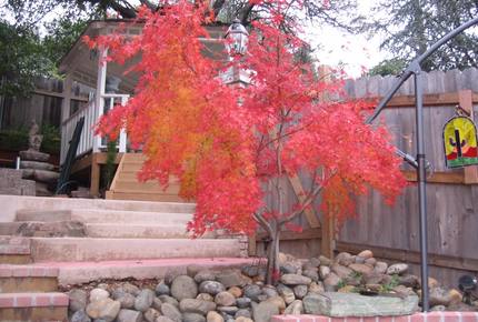 Folsom Shangrila - Folsom, California