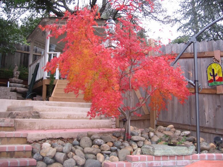 Folsom Shangrila - Folsom, California