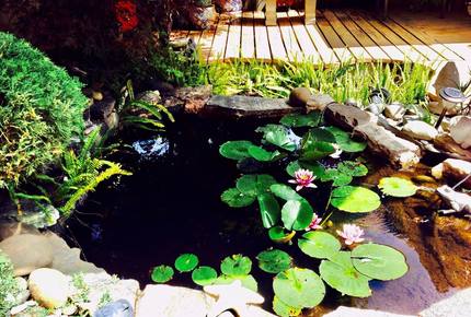 Folsom Shangrila - Folsom, California