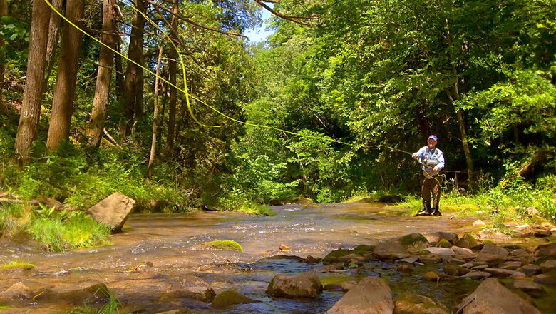 Golf, Fish, Shoot and Spa at the Homestead - The Homestead Resort, Virginia