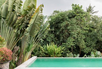 Akasha - Batang, Indonesia