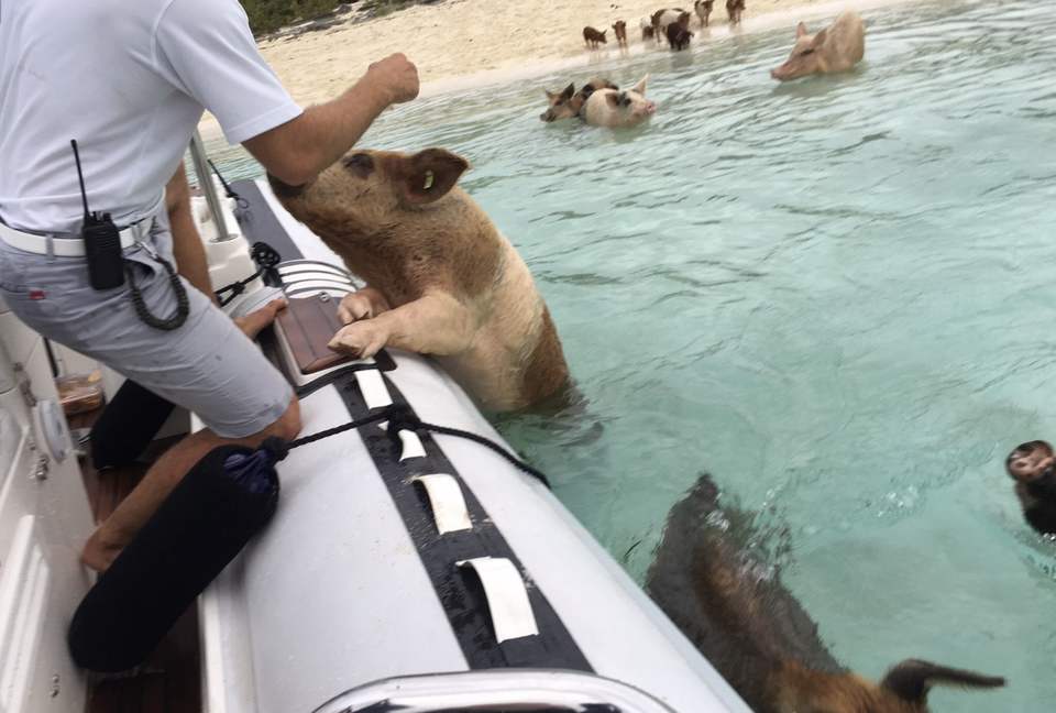 Sea Siren (R) - Harbour Island, Bahamas