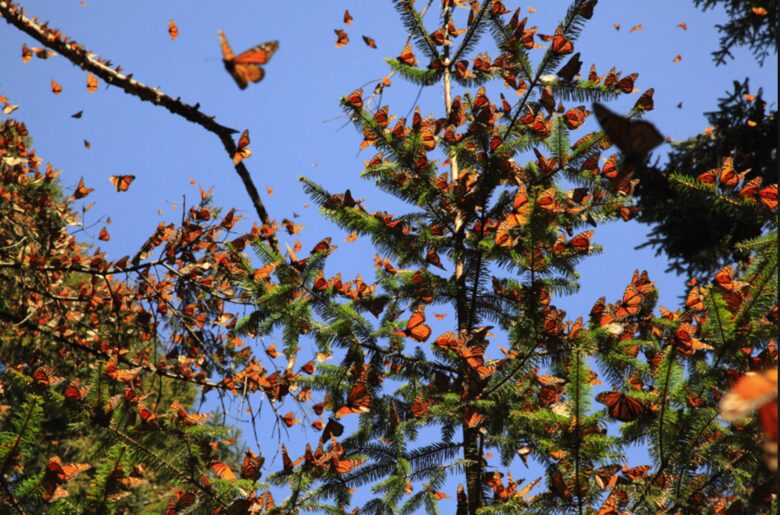 Home in Avandaro Country Club - Valle de Bravo, Mexico