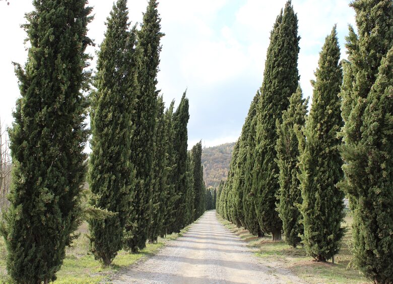Palazzo Grande (R) - Corciano (Umbria), Italy
