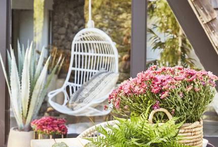 Perfect Napa A-Frame - Napa, California