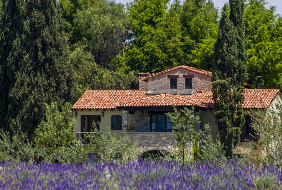 San Miguel Vineyard Estate - San Miguel de Allende, Mexico