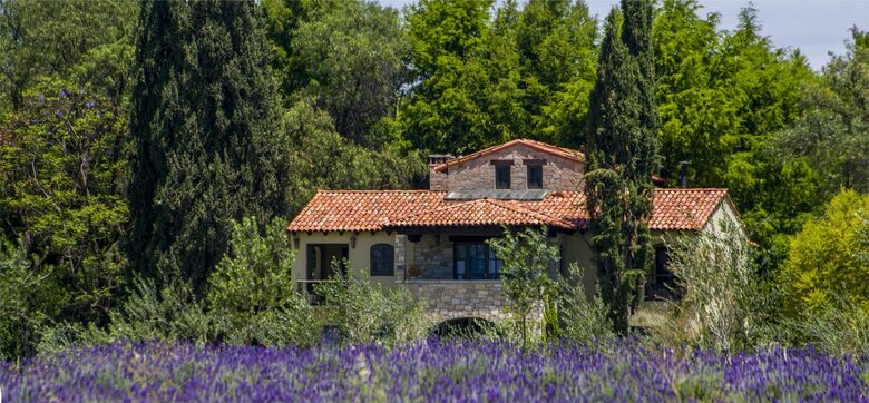 San Miguel Vineyard Estate - San Miguel de Allende, Mexico