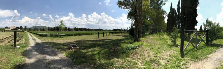 San Miguel Vineyard Estate - San Miguel de Allende, Mexico