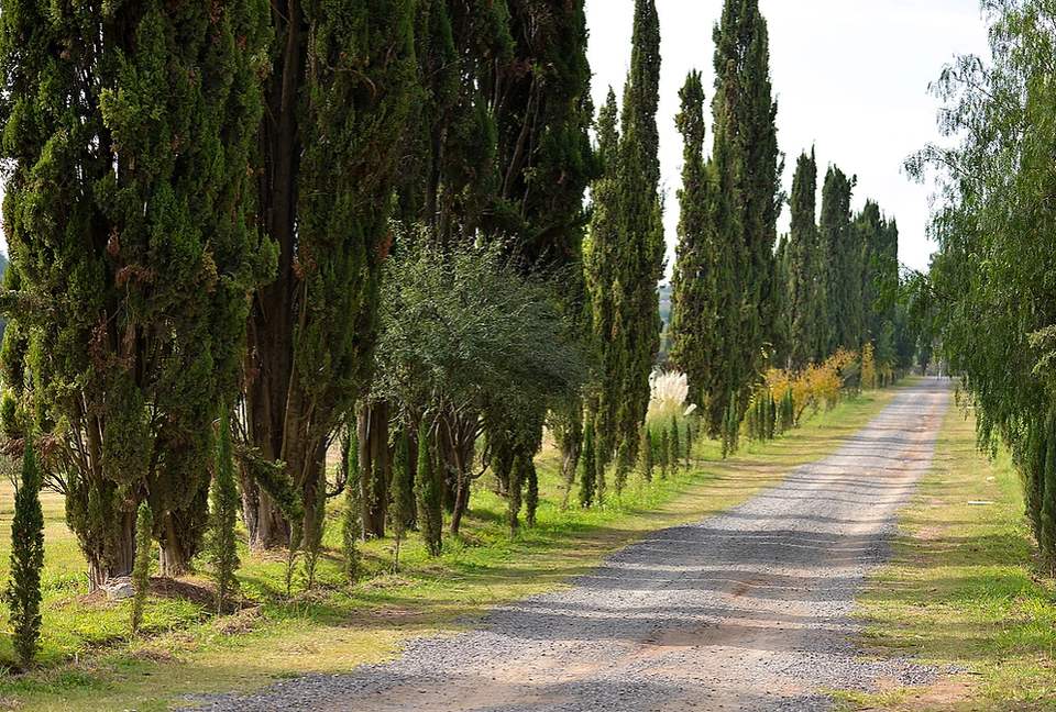 San Miguel Vineyard Estate - San Miguel de Allende, Mexico