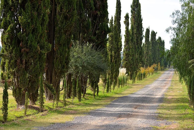 San Miguel Vineyard Estate - San Miguel de Allende, Mexico