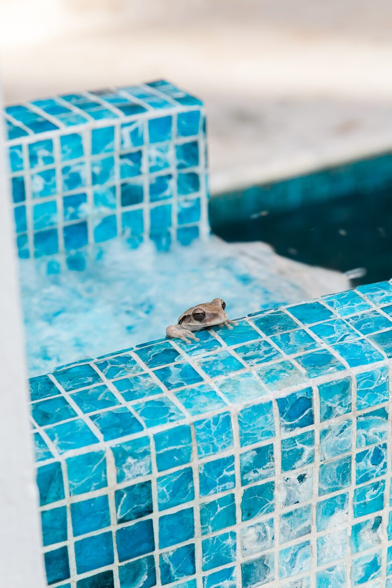 Villa Coronado on the Mexican Caribbean! - Cozumel, Mexico