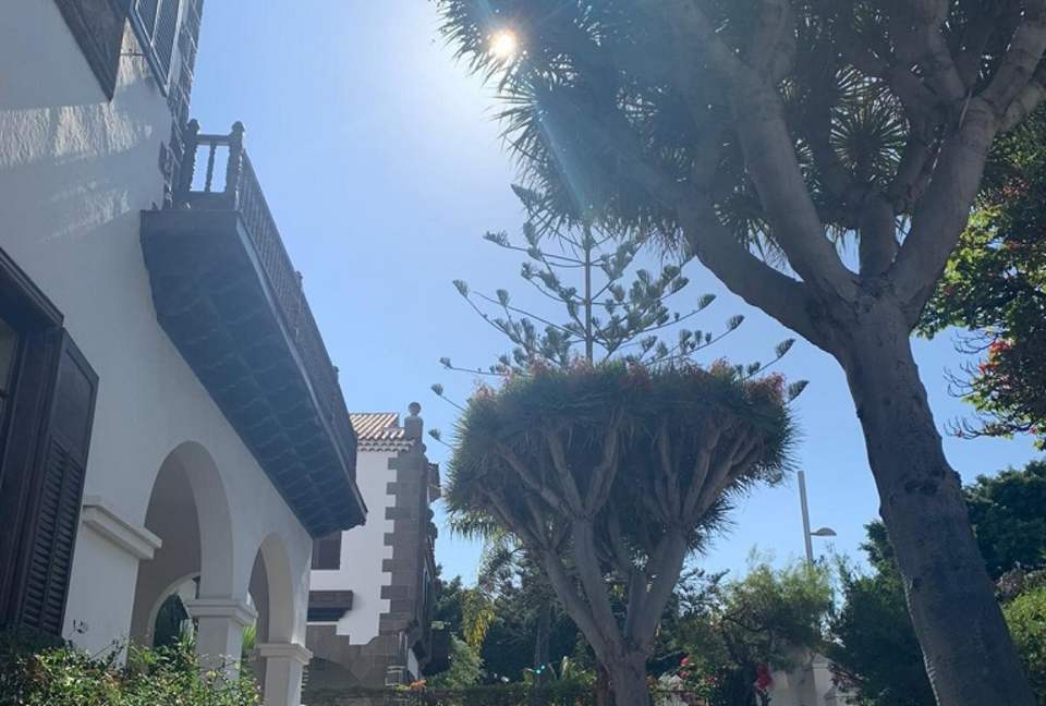 Canary Islands Retreat - Santa Cruz de Tenerife, Spain