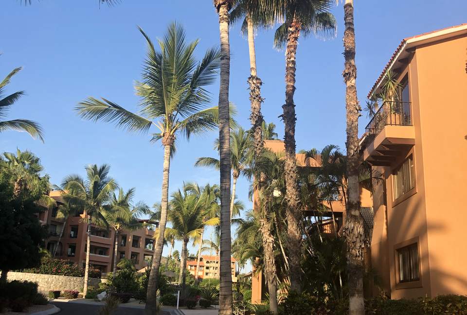 Oceanfront Casa Del Mar Beach Luxury Penthouse - San José del Cabo, Mexico