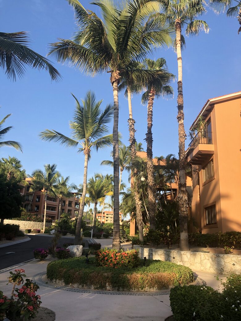 Oceanfront Casa Del Mar Beach Luxury Penthouse - San José del Cabo, Mexico