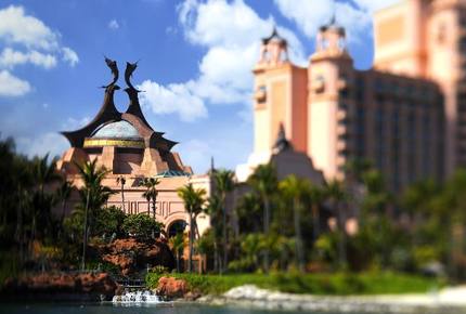 Luxury Studio at The Reef Atlantis - Paradise Island, Bahamas