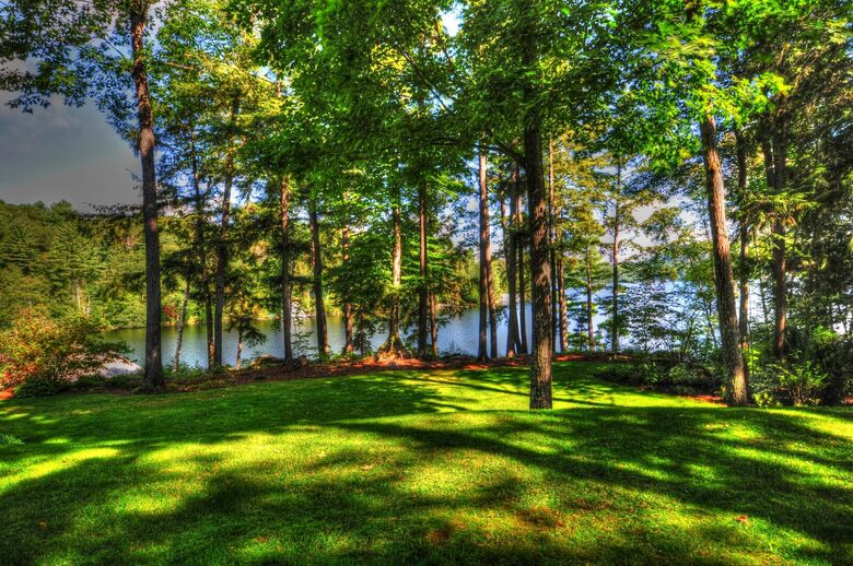 Lake of Bays Cottage - Baysville, Canada