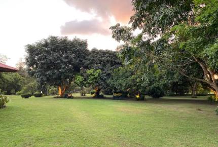 El Valle de Anton Home and Guest House - Rainforest, Beaches, Golf, and Hiking nearby! - El Valle de Anton, Panama