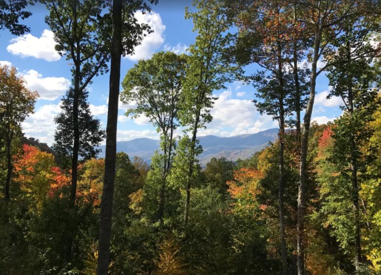 Balsam Mountain Getaway - Many Luxe Amenities and Arnold Palmer Signature Course! - Sylva, North Carolina