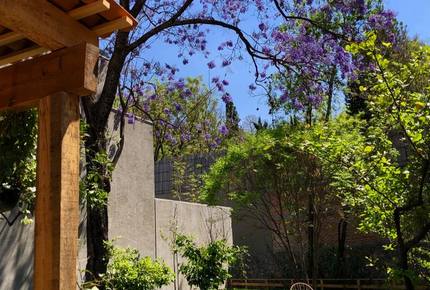 Casa Mia Sunshine - San Miguel de Allende, Mexico