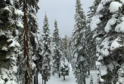 Tahoe Donner Retreat - Truckee, California