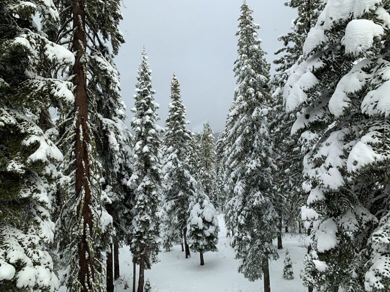 Tahoe Donner Retreat - Truckee, California