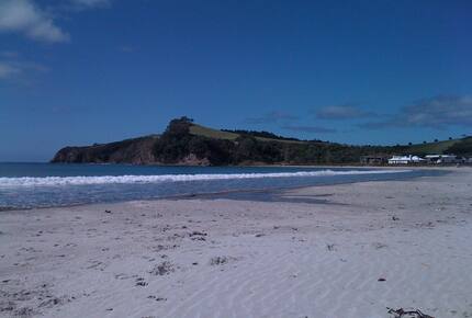 Luxury Beach House, Omaha, NZ - Omaha, New Zealand