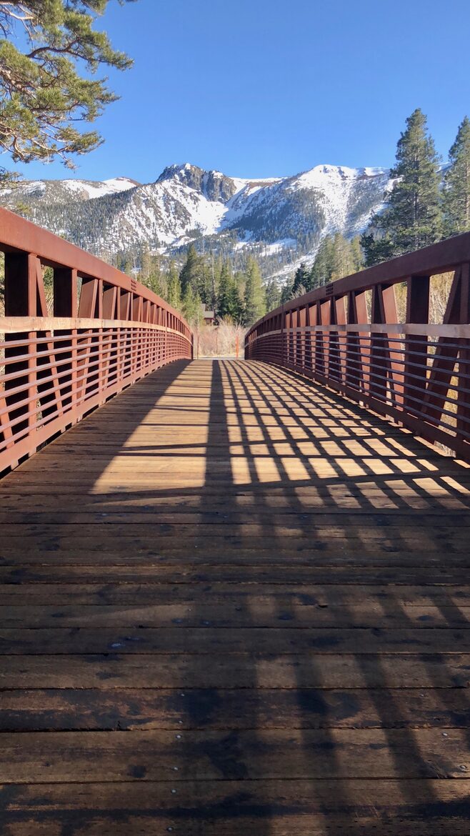 Mammoth Lakes Modern Luxury Home - Steps from the main chair lift! - Mammoth Lakes, California