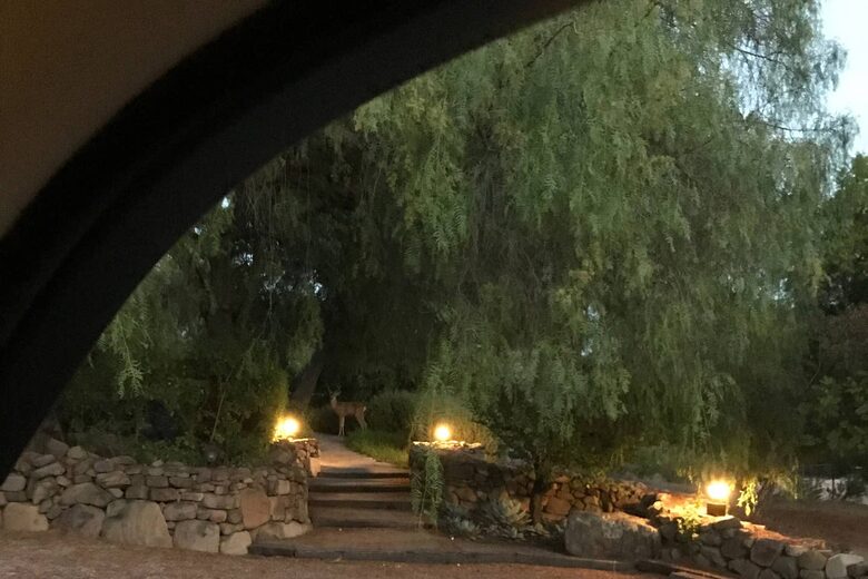 Ojai Ranch Retreat - Ojai, California