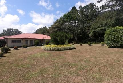 El Valle de Anton Home and Guest House - Rainforest, Beaches, Golf, and Hiking nearby! - El Valle de Anton, Panama