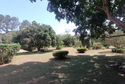 El Valle de Anton Home and Guest House - Rainforest, Beaches, Golf, and Hiking nearby! - El Valle de Anton, Panama