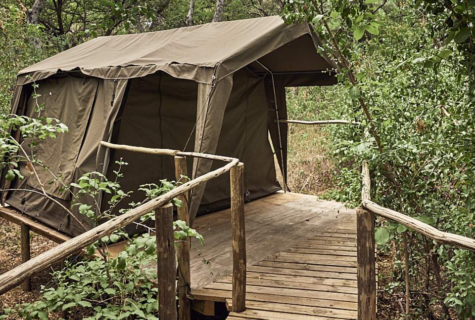 Tshilli Lodge - Maun, Botswana