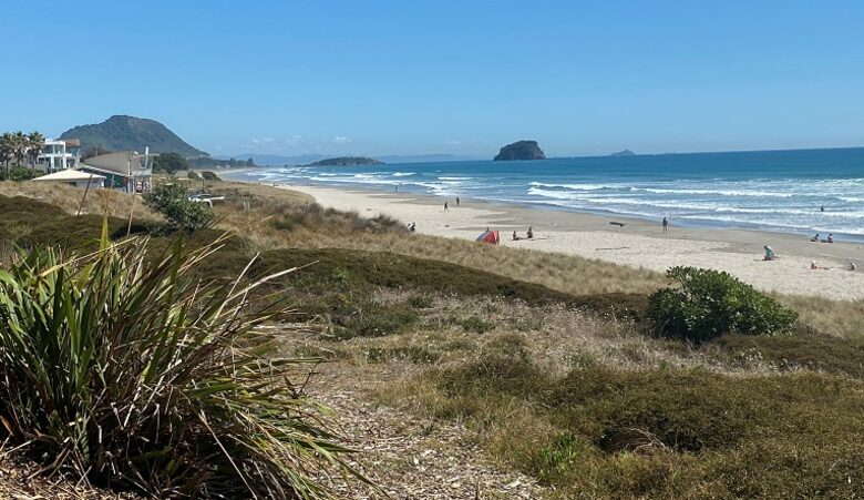 Mount Maunganui Beachfront Home - Tauranga, New Zealand