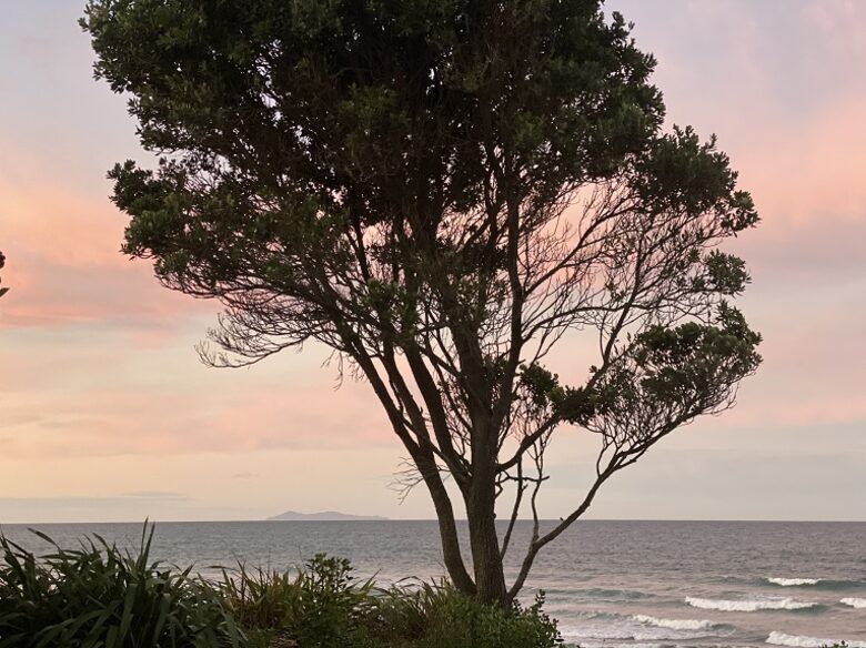 Mount Maunganui Beachfront Home - Tauranga, New Zealand
