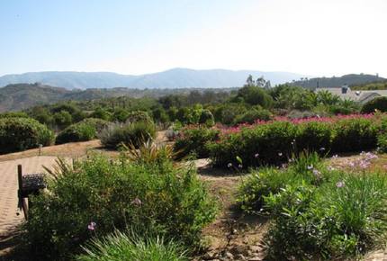 San Diego Country Hideaway - Valley Center, California