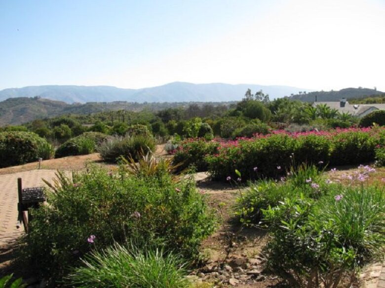 San Diego Country Hideaway - Valley Center, California