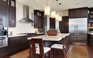 Modern Laguna Beach Coastline Villa (R)