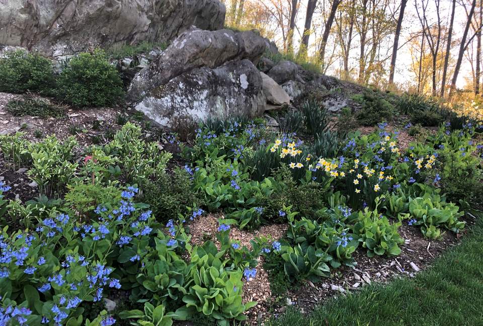 Luxury Farm Estate and Conservancy - Hyde Park, New York