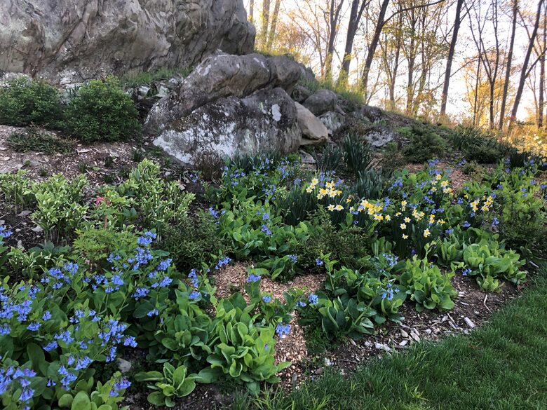 Luxury Farm Estate and Conservancy - Hyde Park, New York