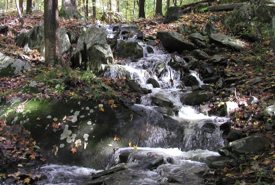 Luxury Farm Estate and Conservancy - Hyde Park, New York