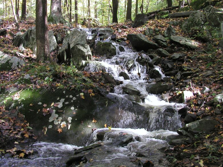 Luxury Farm Estate and Conservancy - Hyde Park, New York