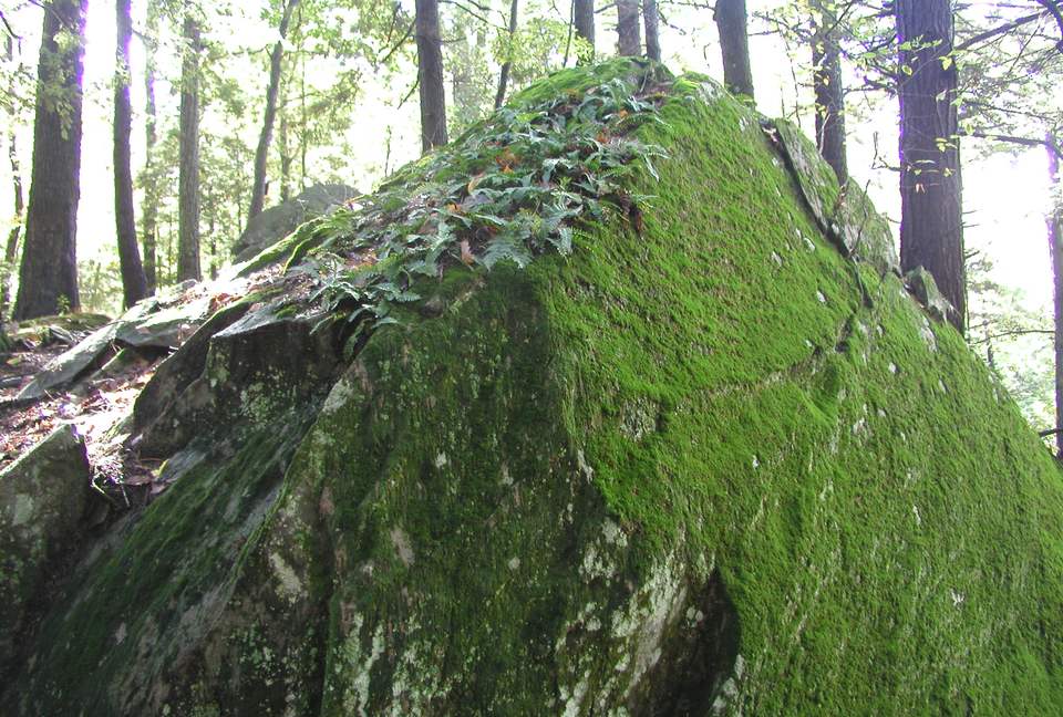 Luxury Farm Estate and Conservancy - Hyde Park, New York