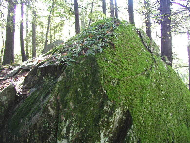 Luxury Farm Estate and Conservancy - Hyde Park, New York