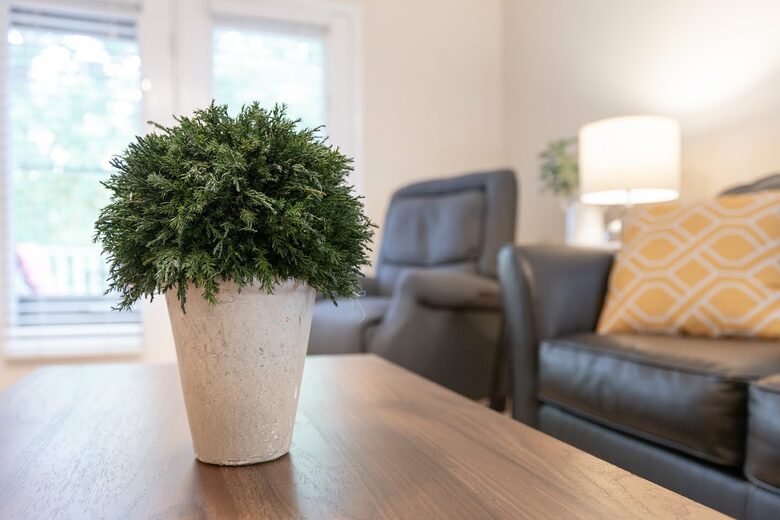 Smoky Mountain Retreat - Sevierville, Tennessee